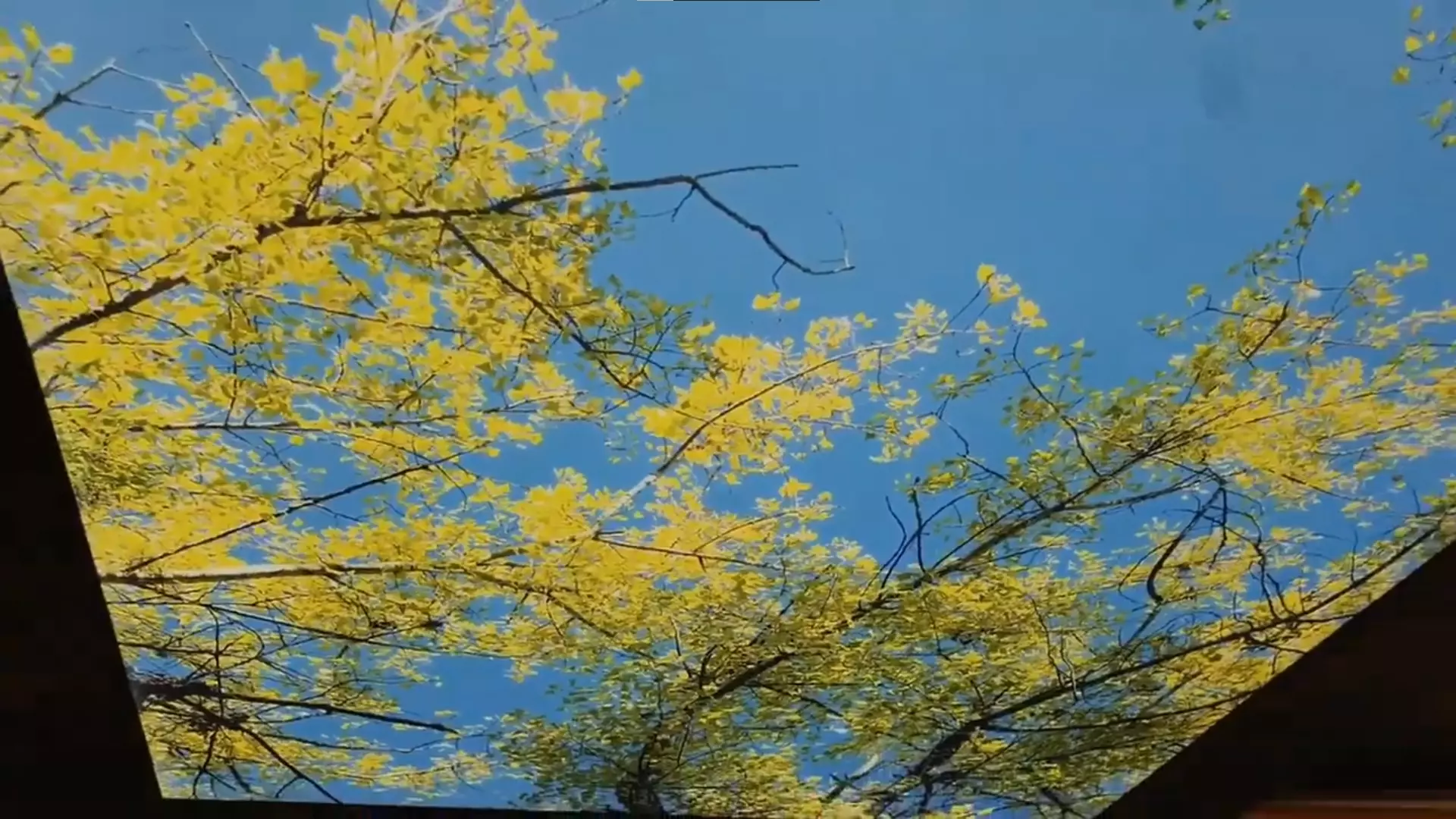 Саранск, Веселовского, 62а, фото 2