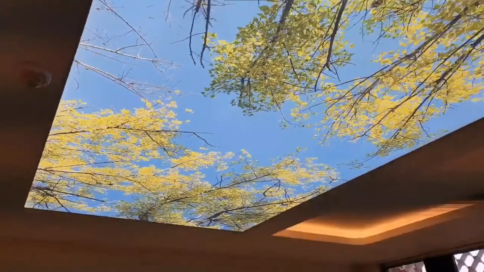 Саранск, Веселовского, 62а, фото 3